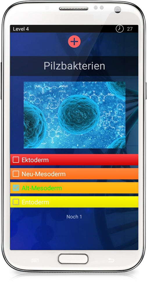 smartphone2_506x970 (2)