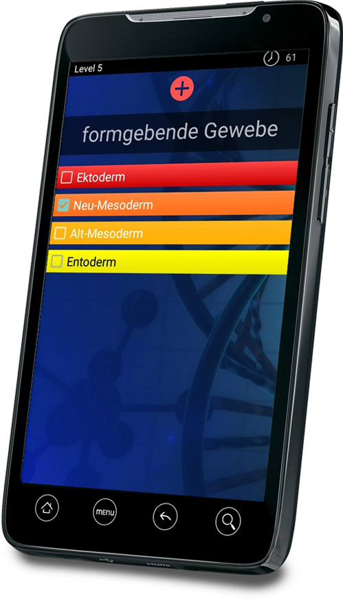 smartphone_499x873 (4)