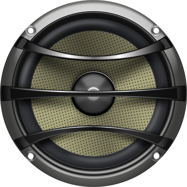 speaker-156844_640